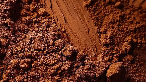 Polvo de cacao