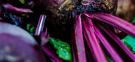 Beetroot