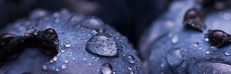 Wet blueberries