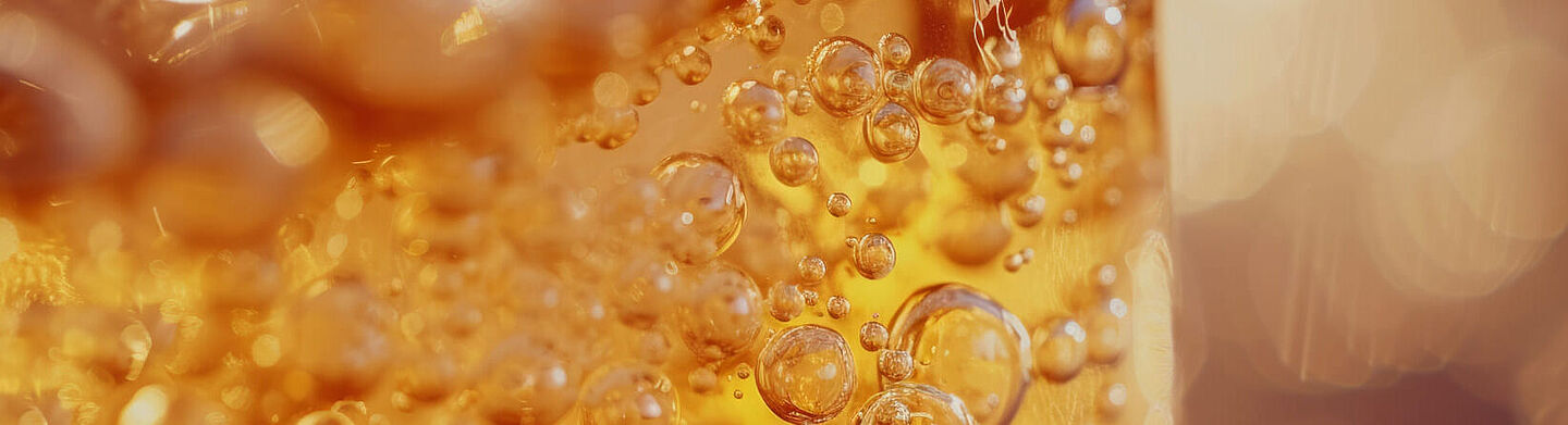 cerveza