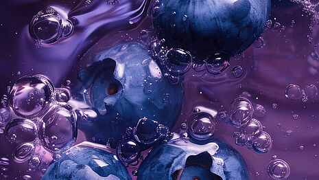  Blaubeere